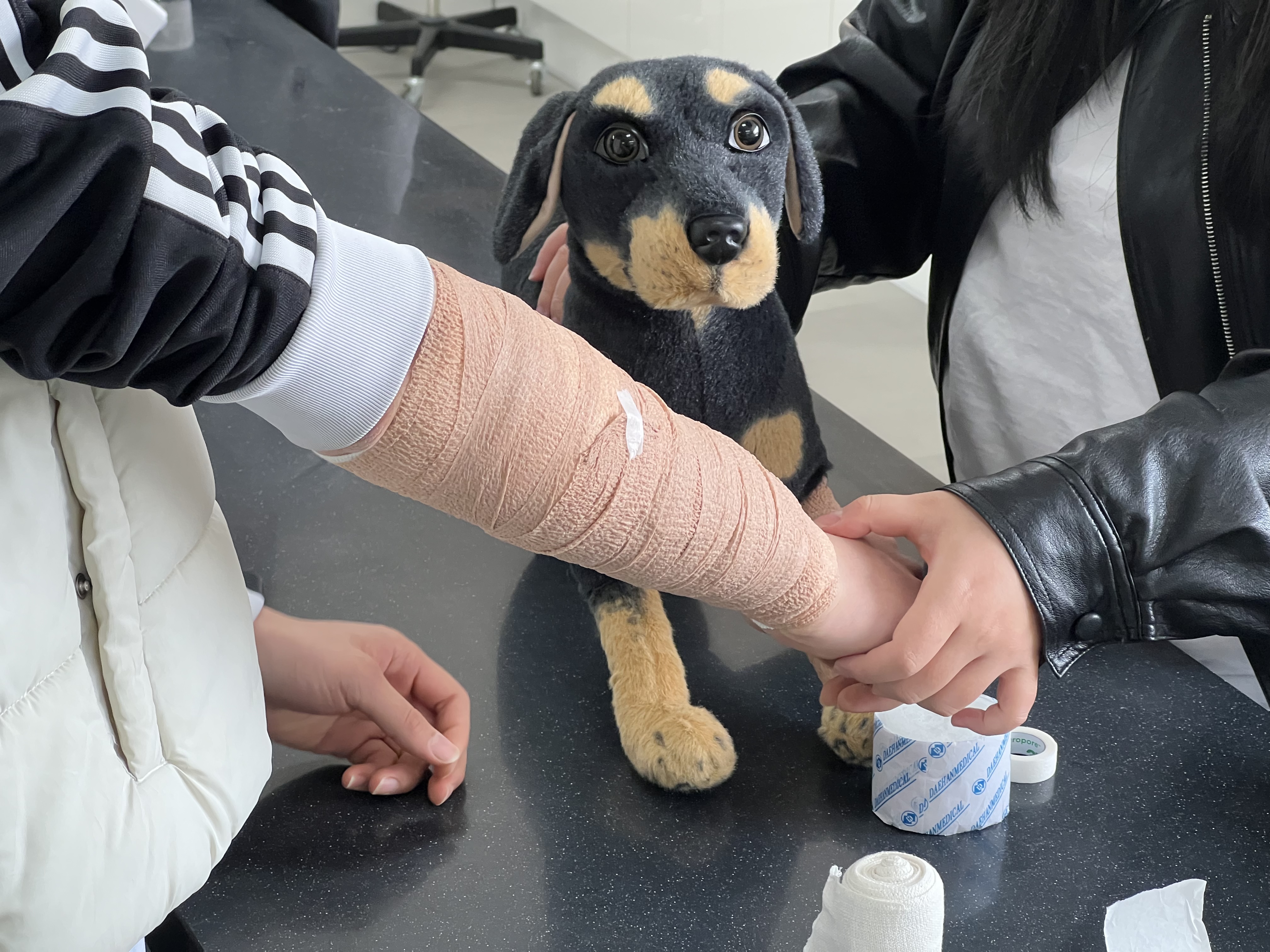 동물의료관리학과_보건복지진로탐색세미나1